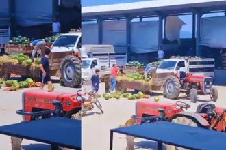 Karpuzlarını Yere Atan Üreticiye İşlem Başlatıldı: 17 Milyon TL'lik Ceza Gündemde
