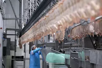 Rekabet Kurulu’ndan Piliç Sektörüne 3,7 Milyar TL Ceza