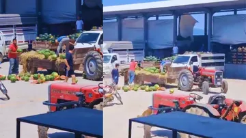 Karpuzlarını Yere Atan Üreticiye İşlem Başlatıldı: 17 Milyon TL'lik Ceza Gündemde