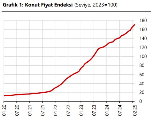 konut fiyat endeksi yıllık grafik