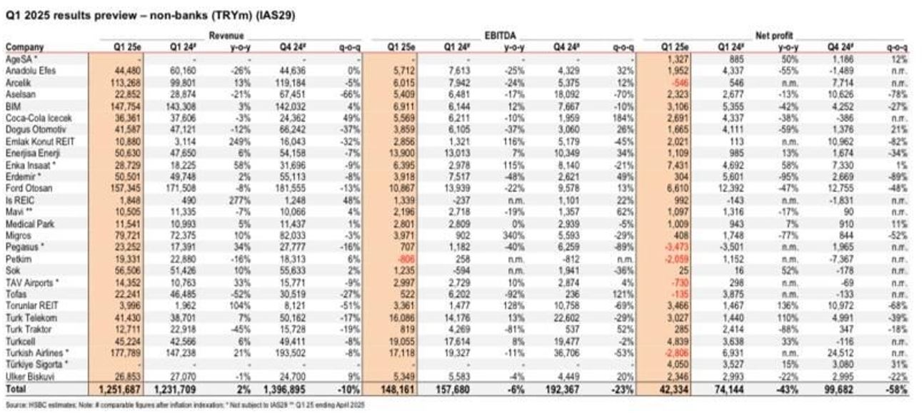 hsbc-beklentiler