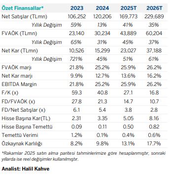 asels özet finansallar