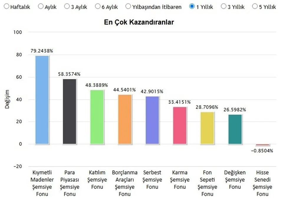 fonların bir yıllık getirisi