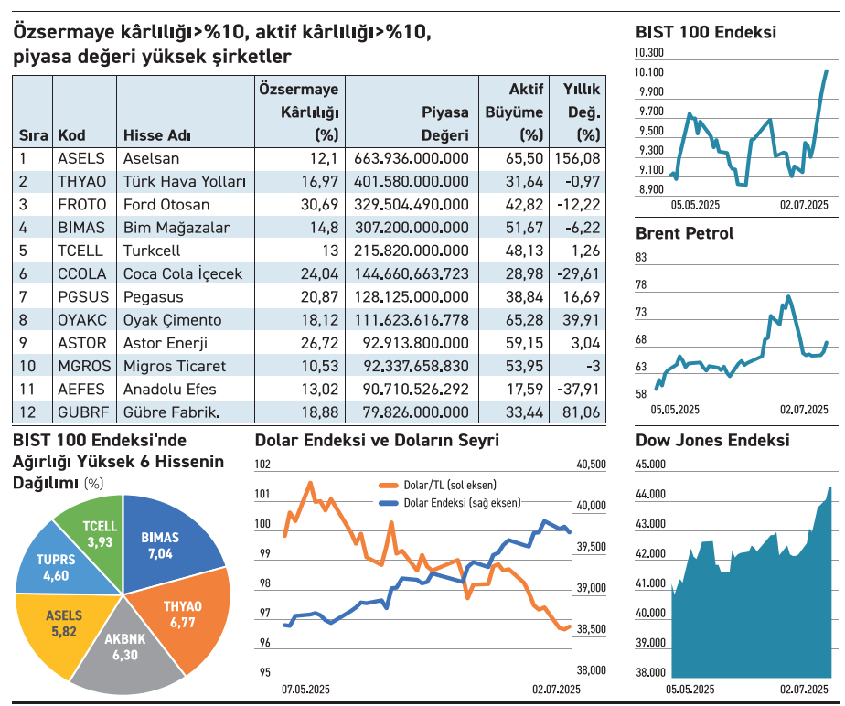 Özvarlık kârlılığı yüksek BIST 100 şirketleri ve hisse performansları 2025.