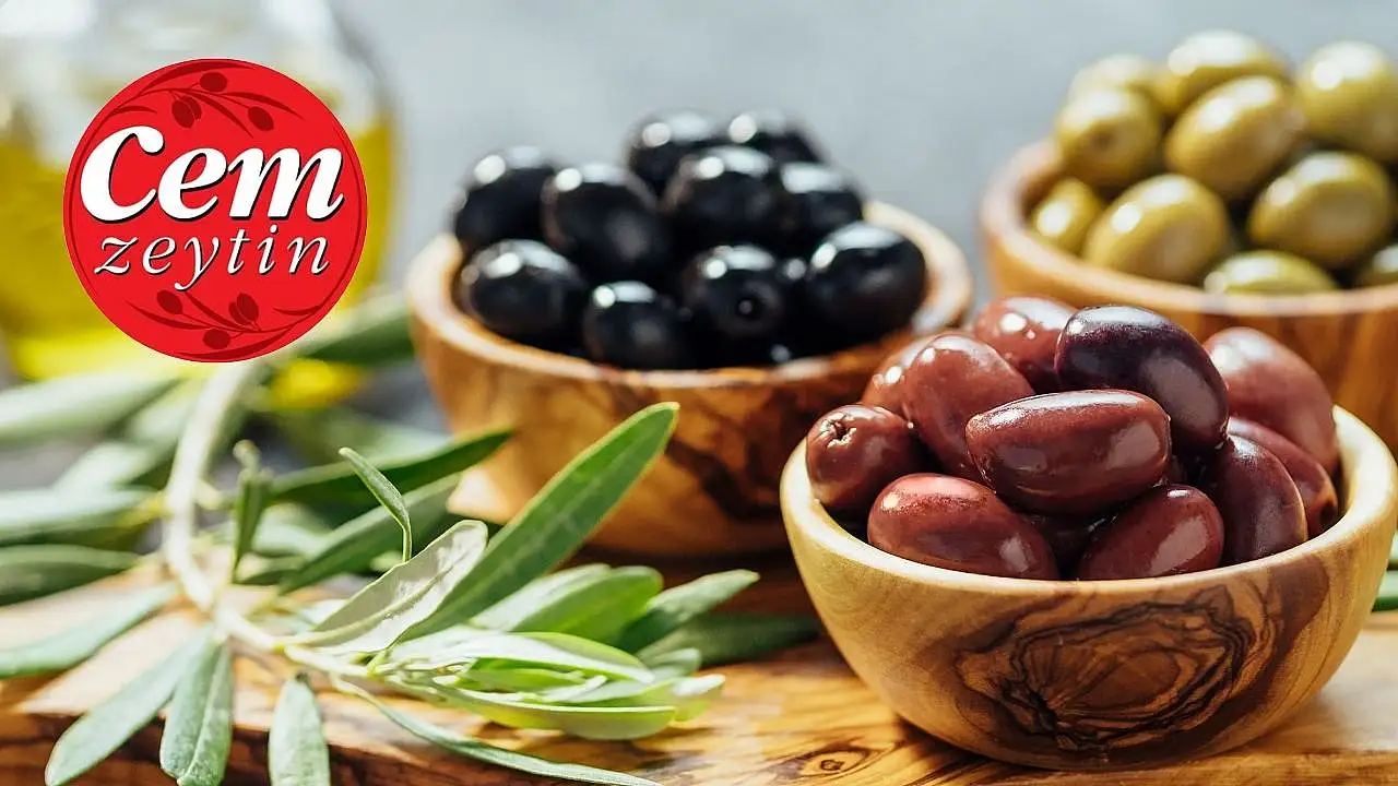cem zeytin CEMZY hisse