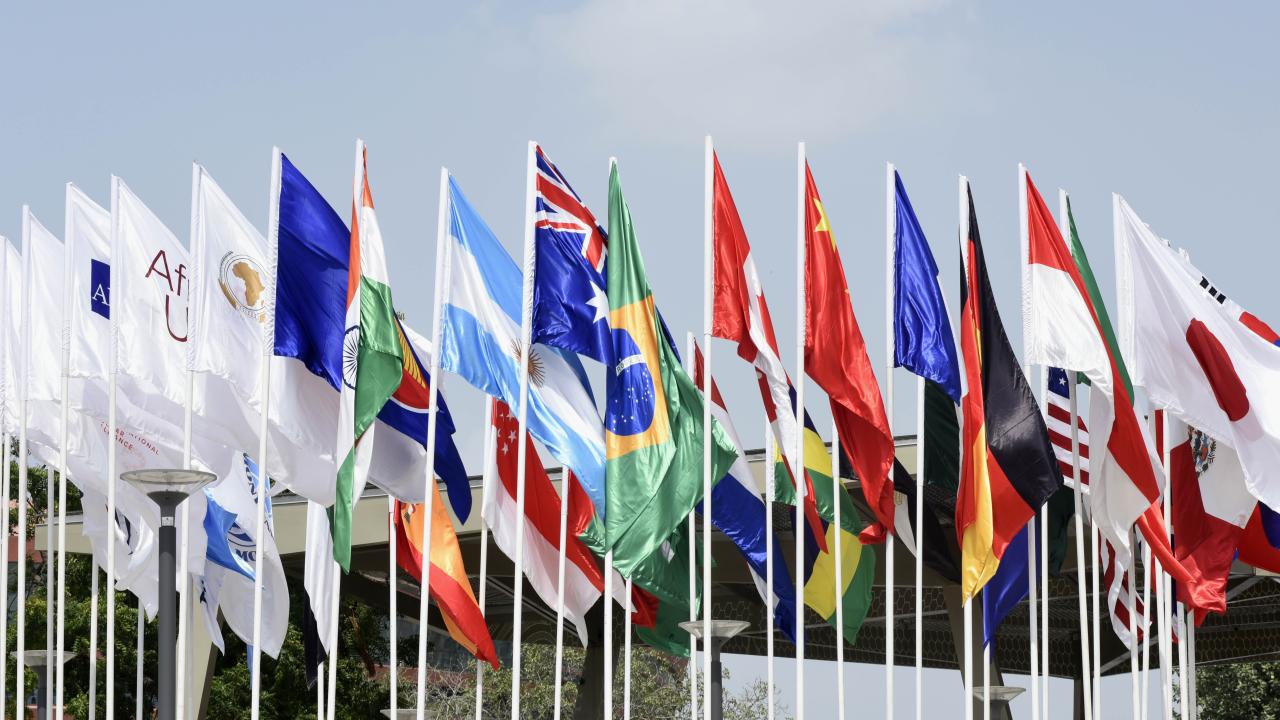 g20