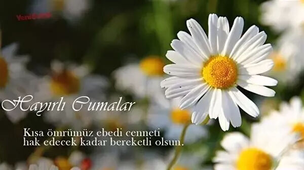 anlamlı papatyalı cuma mesajı