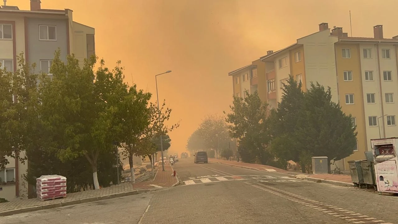 Bayramiç Yiğitler köyünde çıkan yangın görüntüsü