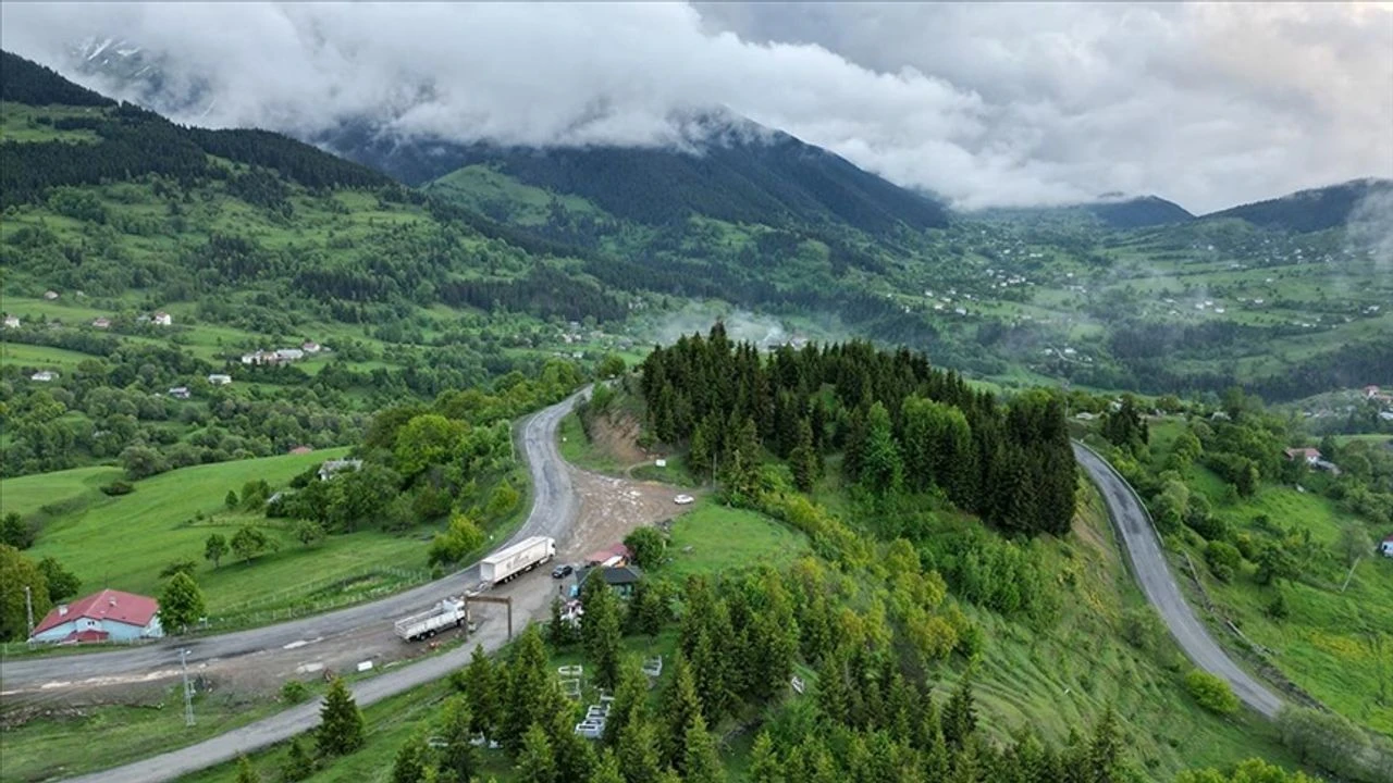 artvin ortalama yaşam süresi