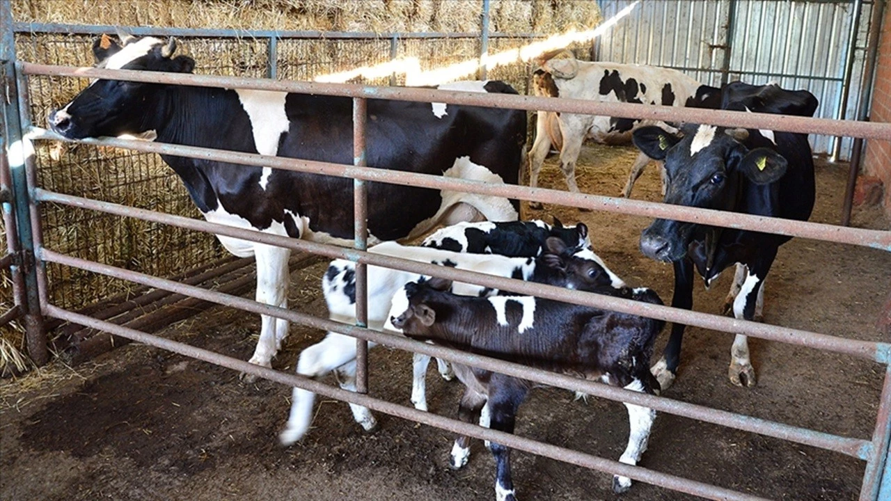 çiftçi destek ödeme 