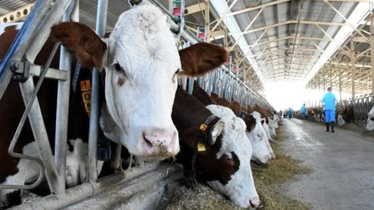 çiftçi destek ödemesinden kimler yararlanabilir?