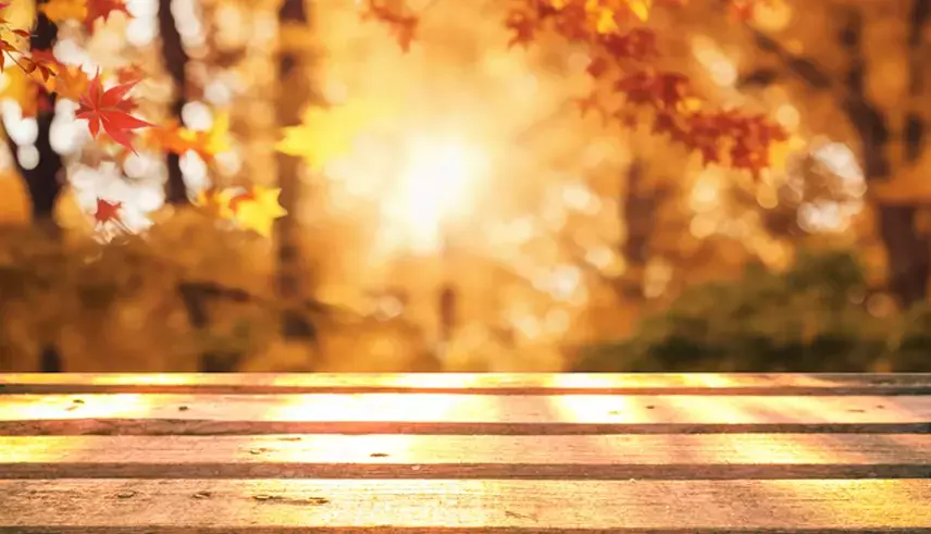 Pastırma Sıcakları 2025