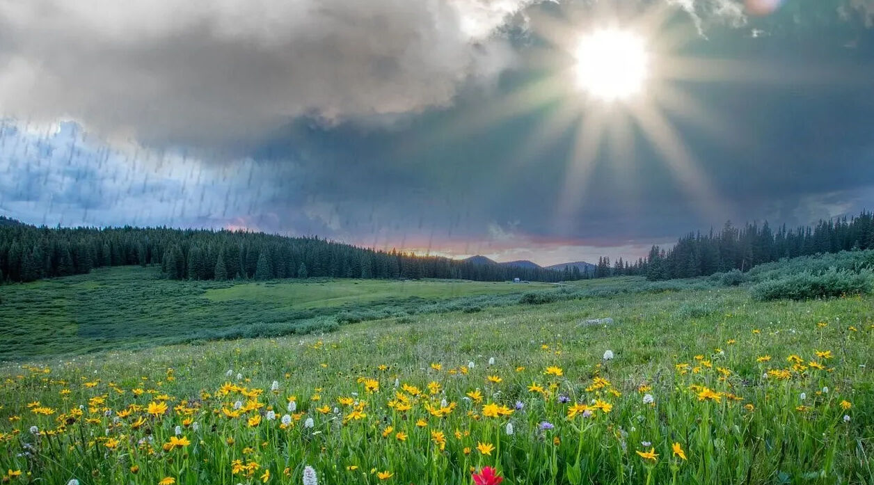 Pastırma Sıcakları 2025