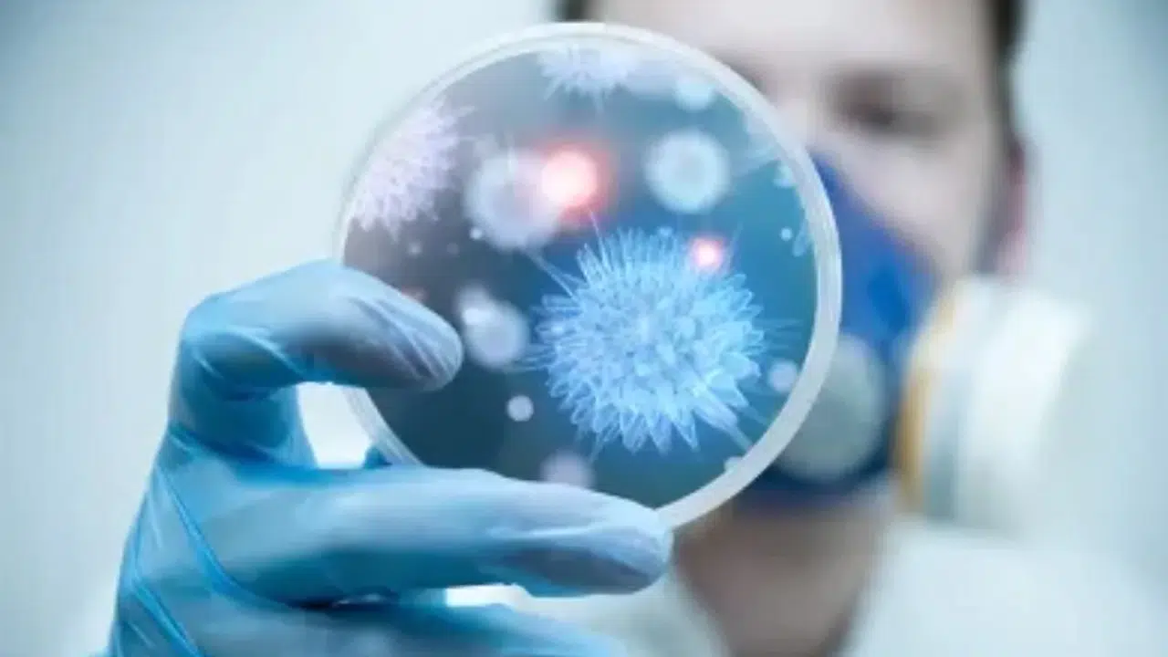 Frankenstein varyantı belirtileri