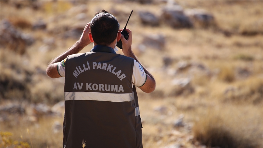 Doğa Koruma ve Milli Parklar Genel Müdürlüğü 240 Personel Alımı Yapacak! 2025 DKMP Personel Alımı Başvurusu ve Şartları