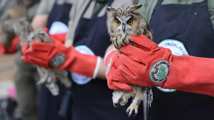Doğa Koruma ve Milli Parklar Genel Müdürlüğü 240 Personel Alımı Yapacak! 2025 DKMP Personel Alımı Başvurusu ve Şartları