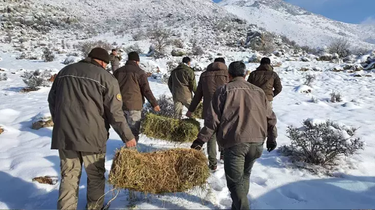 Doğa Koruma ve Milli Parklar Genel Müdürlüğü 240 Personel Alımı Yapacak! 2025 DKMP Personel Alımı Başvurusu ve Şartları