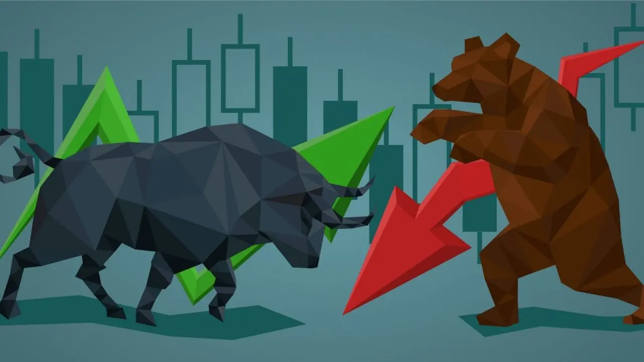 ayı ve boğa piyasası