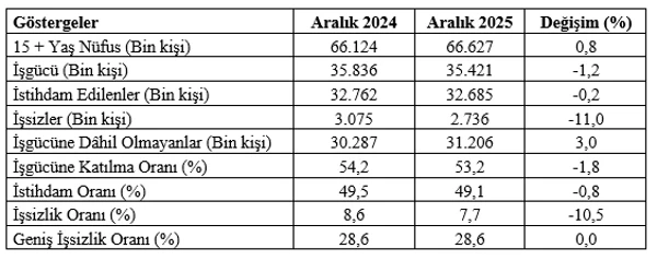 Aralık 2024–2025 işsizlik ve işgücü verilerinin karşılaştırması