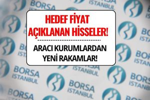 Tüpraş, Şişecam, Ford, Doğuş Oto! Bu Hafta Hedef Fiyat Açıklanan Hisseler