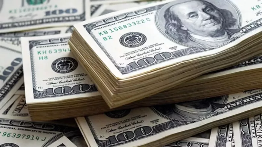 Döviz Mevduatları 2,7 Milyar Dolar Geriledi
