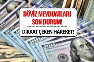 Döviz Mevduatları 3 Hafta Sonra Yönü Aşağı Çevirdi