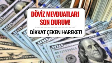 Döviz Mevduatları 3 Hafta Sonra Yönü Aşağı Çevirdi