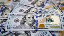 Dev Bankadan Dolar/TL Tahmini