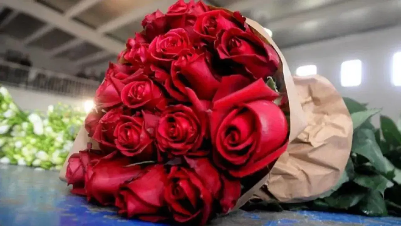 Sevgililer Günü Öncesi Gül Fiyatları Belli Oldu