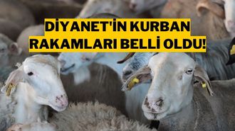 Diyanet 2025 Kurban Kesim Bedelini Açıkladı!