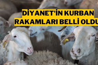 Diyanet 2025 Kurban Kesim Bedelini Açıkladı!