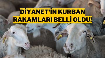 Diyanet 2025 Kurban Kesim Bedelini Açıkladı!