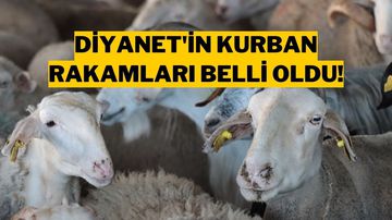 Diyanet 2025 Kurban Kesim Bedelini Açıkladı!