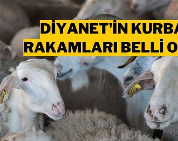 Diyanet 2025 Kurban Kesim Bedelini Açıkladı!