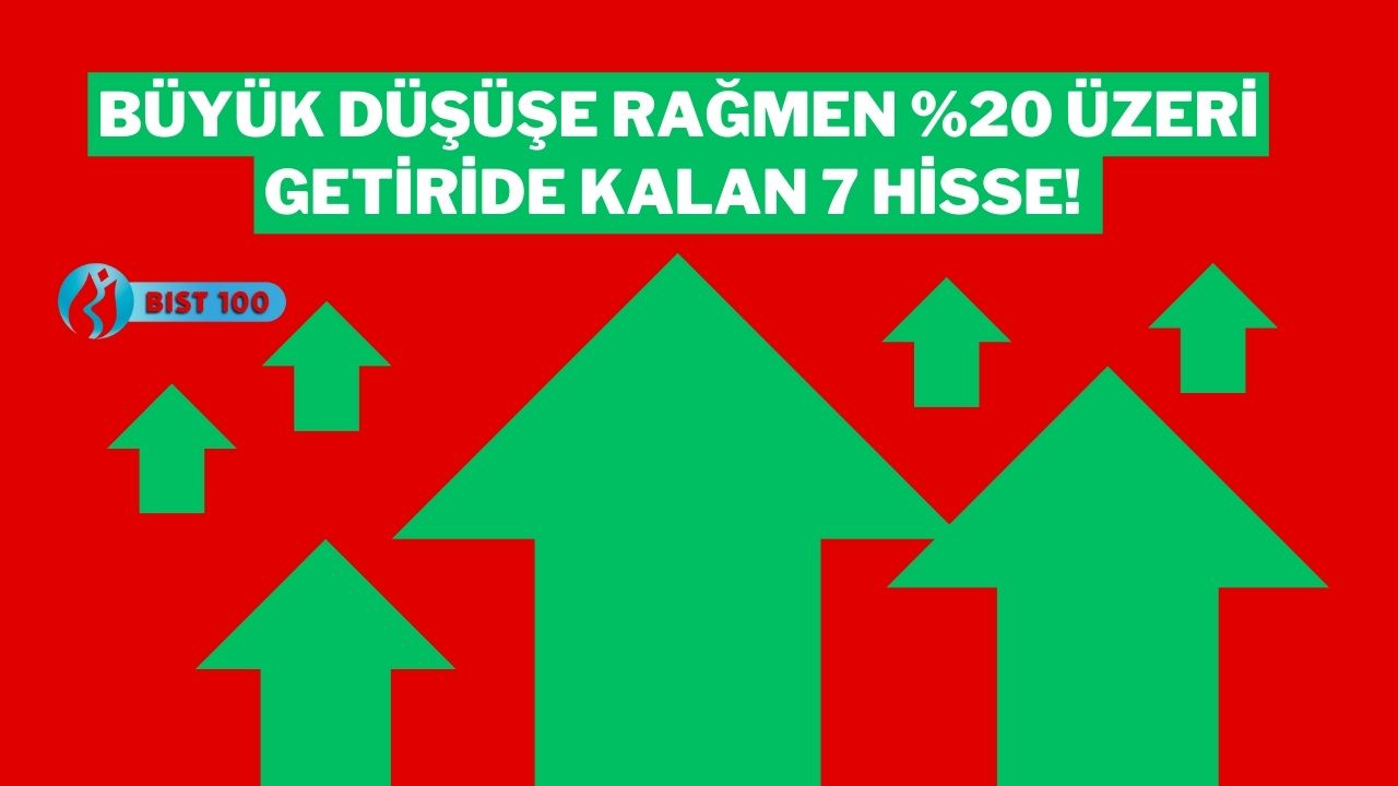 Büyük Düşüşe Rağmen Karlılığını Koruyan 7 BIST 100 Hissesi: Hala Yüzde 20 Üzerindeler