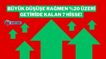 Büyük Düşüşe Rağmen Karlılığını Koruyan 7 BIST 100 Hissesi: Hala Yüzde 20 Üzerindeler