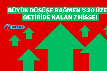Büyük Düşüşe Rağmen Karlılığını Koruyan 7 BIST 100 Hissesi: Hala Yüzde 20 Üzerindeler