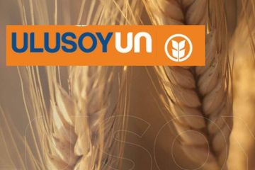 Ulusoy Un (ULUUN) Yeni Yatırımı İçin 75 Milyon Dolarlık Kredi Görüşmesinde