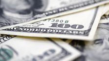 BofA Anketi'ne Göre Doların Önünde İki Büyük Risk Var