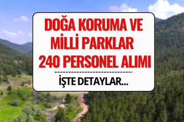 Doğa Koruma ve Milli Parklar Genel Müdürlüğü 240 Personel Alımı Yapacak! 2025 DKMP Personel Alımı Başvurusu ve Şartları