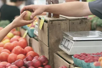 Küresel Gıda Fiyatlarında Savaş Etkisi