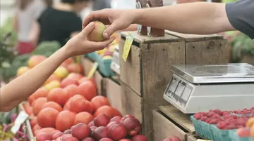 Küresel Gıda Fiyatlarında Savaş Etkisi