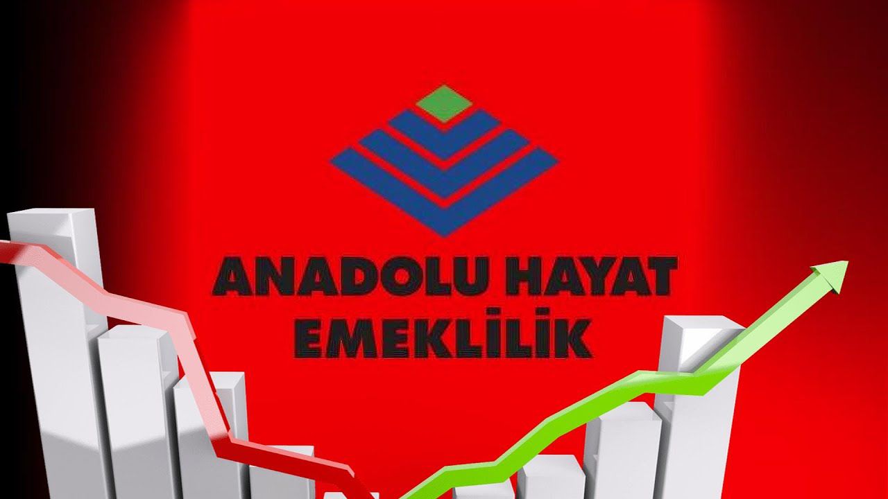 Anadolu Hayat (ANHYT) 4. Çeyrekte Beklentileri Aştı: Bilançoda Öne Çıkanlar