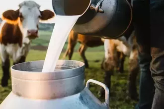 Çiğ Süt Fiyatına Zam: 1 Ağustos’tan İtibaren Geçerli Olacak