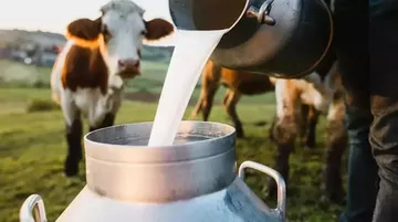 Çiğ Süt Fiyatına Zam: 1 Ağustos’tan İtibaren Geçerli Olacak
