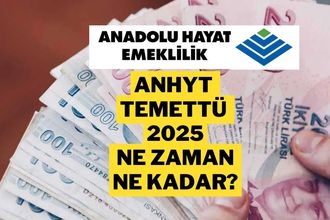 Anadolu Hayat Emeklilik (ANHYT) Hisse Temettü 2025: Ne Zaman Yatacak, Hesaba Ne Zaman Geçer?