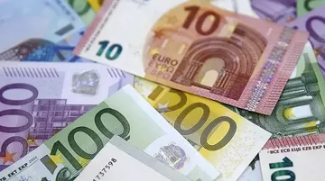 Euronun Küresel Rolü Geçen Yıl Durağan Kaldı