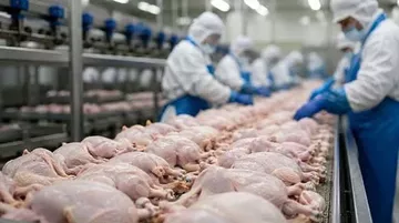 Dört Beyaz Et Şirketi İçin Verilen Kayyum Kararına Mahkemeden İptal