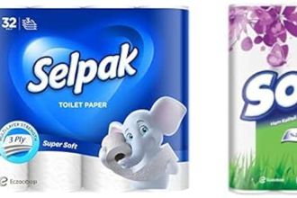 Eczacıbaşı Holding Sanipak’ı 600 Milyon Dolara Satıyor