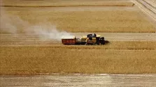 Tarımda Üretici Fiyatları 3 Ayın En Yüksek Artışını Kaydetti